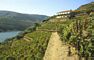 Casa Amarela in the Douro valley in Portugal